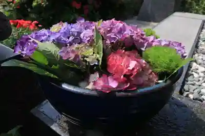 豊景神社の手水舎