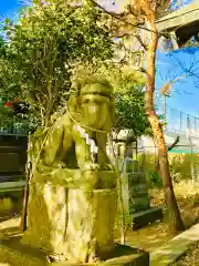 土浦三社神社(水天宮・水神宮・寿寅稲荷神社)の狛犬