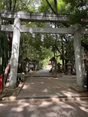 道野辺八幡宮の{uncategorized: "未分類", other: "その他", undefined: "問題あり", building: "その他建物", grave: "お墓", sacred_gate: "鳥居", guardian: "狛犬", statue: "像", buddha: "仏像", history: "歴史", nature: "自然", garden: "庭園", animal: "動物", pagoda: "塔", temizu: "手水舎", mountain_gate: "山門・神門", sanctuary: "本殿・本堂", subordinate: "末社・摂社", art: "芸術", scenery: "景色", jizo: "地蔵", ema: "絵馬", goshuin: "御朱印", omikuji: "おみくじ", items: "授与品その他", amulet: "お守り", goshuincho: "御朱印帳", eats: "食事", festival: "お祭り", votive_dance: "神楽", shichigosan: "七五三参", wedding: "結婚式", experience: "体験その他", initially: "初詣", around: "周辺", anti_infection: "感染症対策"}