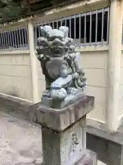 小木田神社の狛犬