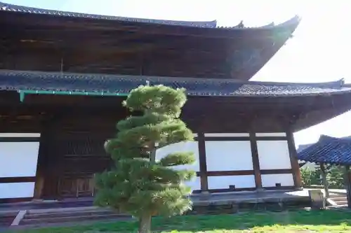 東福禅寺（東福寺）の本殿