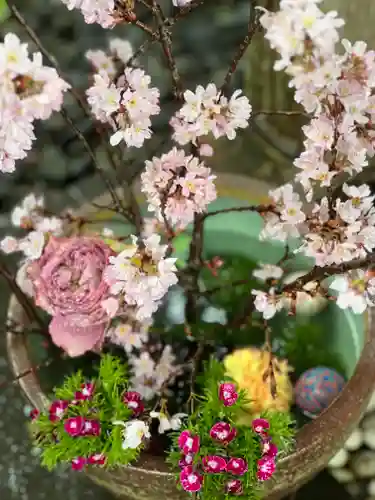 須山浅間神社(静岡県)