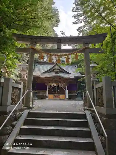 泉神社の鳥居