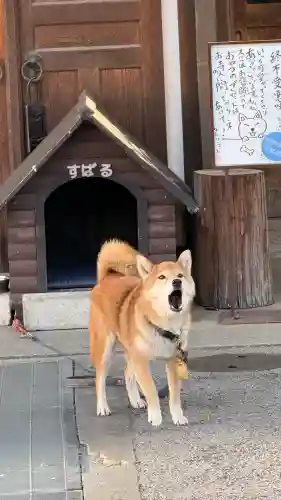 感通寺(東京都)