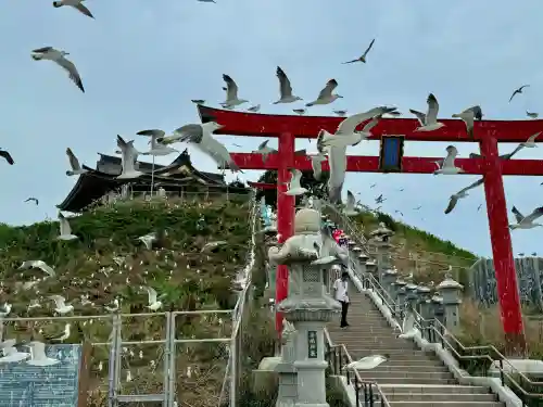蕪嶋神社の{uncategorized: "未分類", other: "その他", undefined: "問題あり", building: "その他建物", grave: "お墓", sacred_gate: "鳥居", guardian: "狛犬", statue: "像", buddha: "仏像", history: "歴史", nature: "自然", garden: "庭園", animal: "動物", pagoda: "塔", temizu: "手水舎", mountain_gate: "山門・神門", sanctuary: "本殿・本堂", subordinate: "末社・摂社", art: "芸術", scenery: "景色", jizo: "地蔵", ema: "絵馬", goshuin: "御朱印", omikuji: "おみくじ", items: "授与品その他", amulet: "お守り", goshuincho: "御朱印帳", eats: "食事", festival: "お祭り", votive_dance: "神楽", shichigosan: "七五三参", wedding: "結婚式", experience: "体験その他", initially: "初詣", around: "周辺", anti_infection: "感染症対策"}