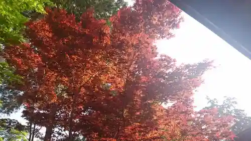 下野國一社八幡宮(栃木県)