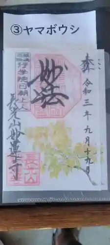 妙蓮寺の御朱印