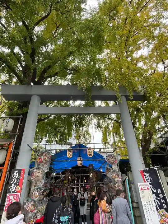 波除神社(波除稲荷神社)の鳥居