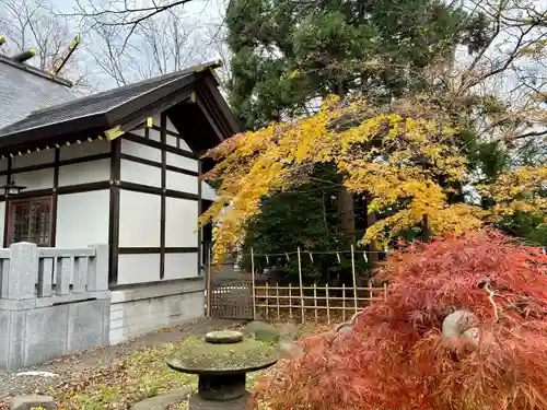 新琴似神社の自然