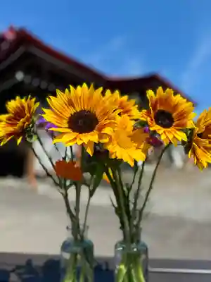 伊達神社(北海道)