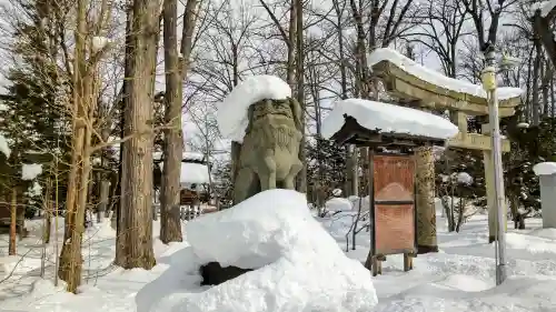 旭川神社の狛犬