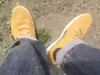 矢部城跡八幡宮(群馬県)