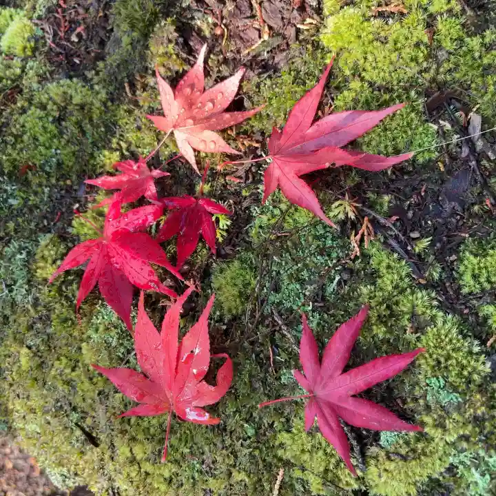 西明寺(滋賀県)