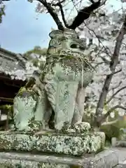 鴨都波神社(奈良県)