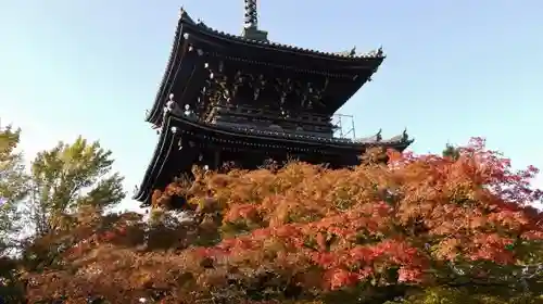 真正極楽寺（真如堂）の塔