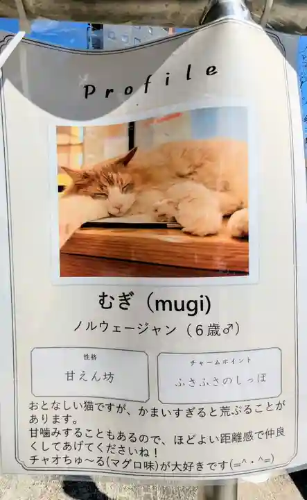 駒込妙義神社の動物