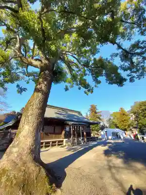 鷲宮神社のその他建物