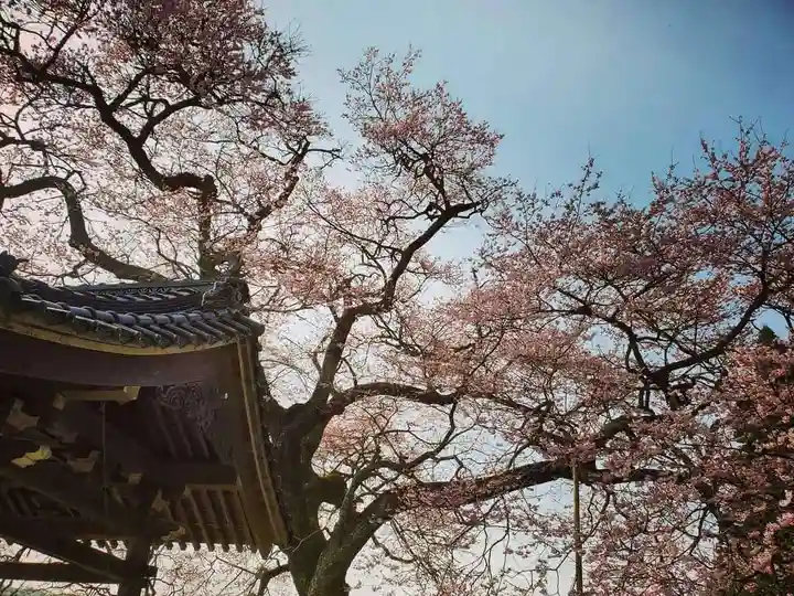 清水寺のその他建物