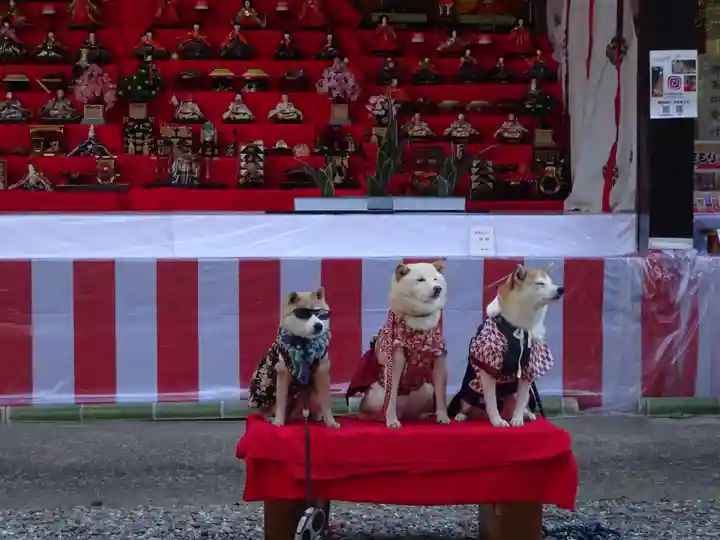 座間神社の動物