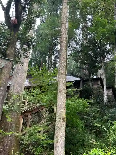 丹生川上神社（下社）(奈良県)