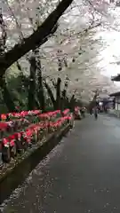 増上寺の建物その他