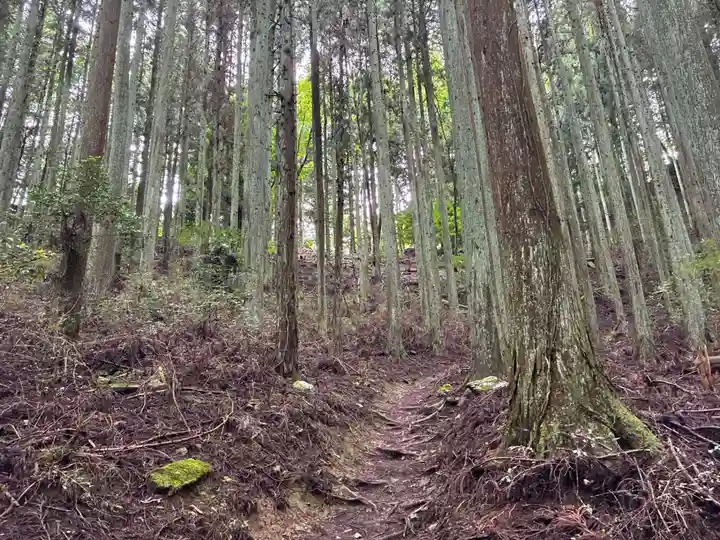 浄蓮庵(徳島県)