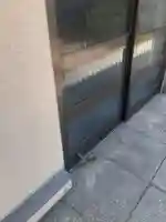 西方山極楽寺(岐阜県)