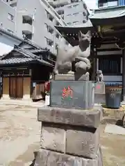 綾瀬稲荷神社の狛犬