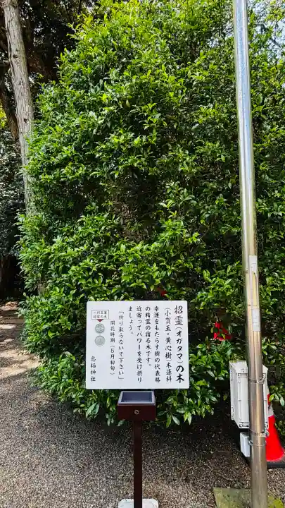 息栖神社(茨城県)