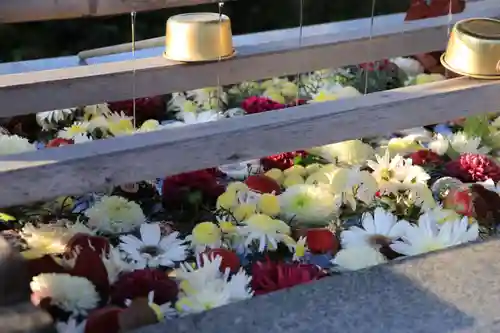 豊景神社の手水