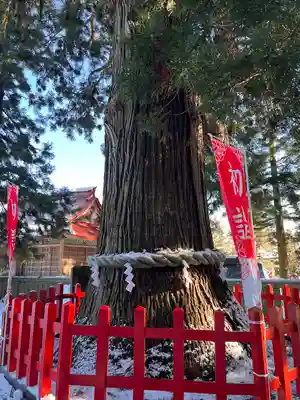 志和古稲荷神社(岩手県)