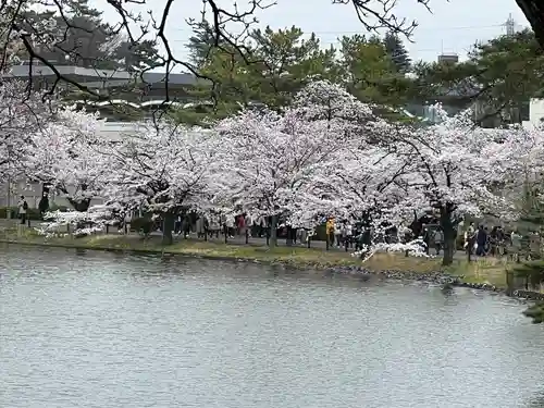 武蔵一宮氷川神社(埼玉県)