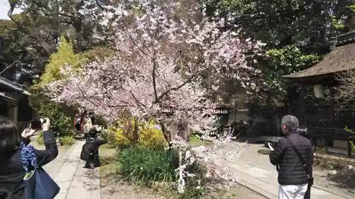 宗像神社の自然