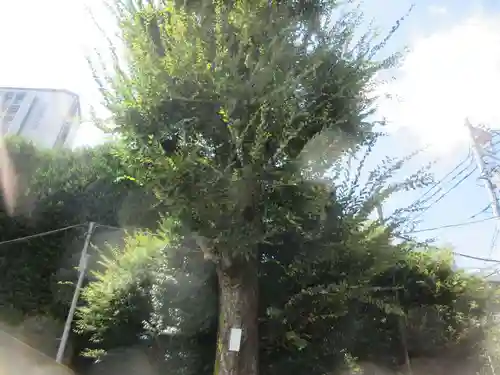 吸江寺(東京都)