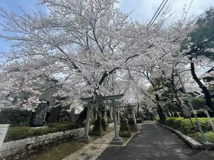 前原御嶽神社の自然