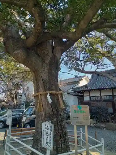 生根神社の自然