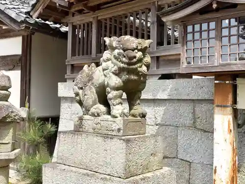 小日吉神社の狛犬