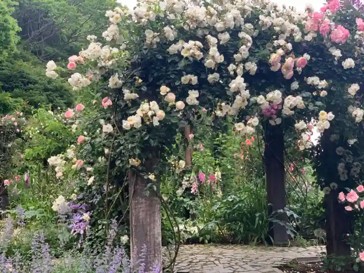 曽我浅間神社(静岡県)
