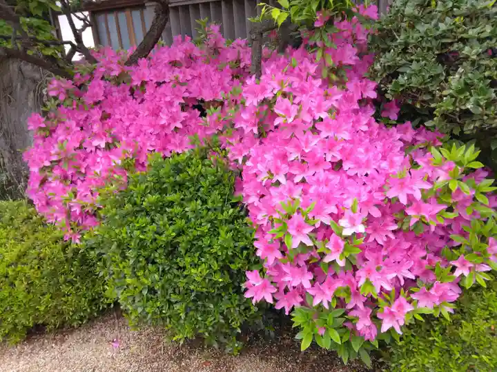 理境院(東京都)
