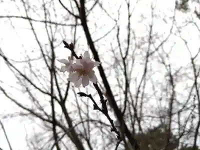 本長寺(石川県)