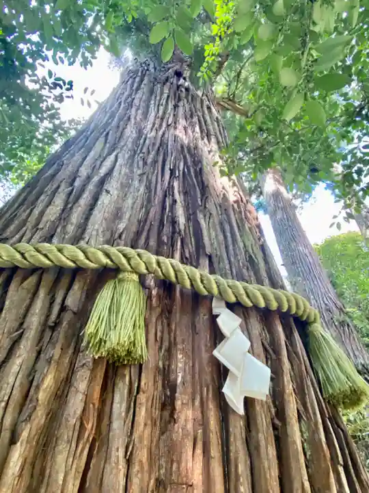 丹生川上神社(中社)(奈良県)