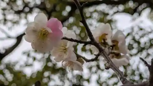  智積院(京都府)