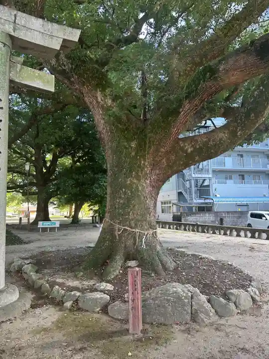 諏訪神社(福岡県)