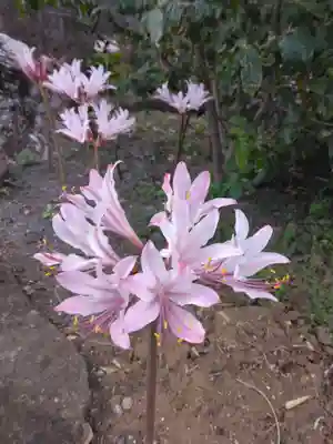 横浜　西方寺(神奈川県)
