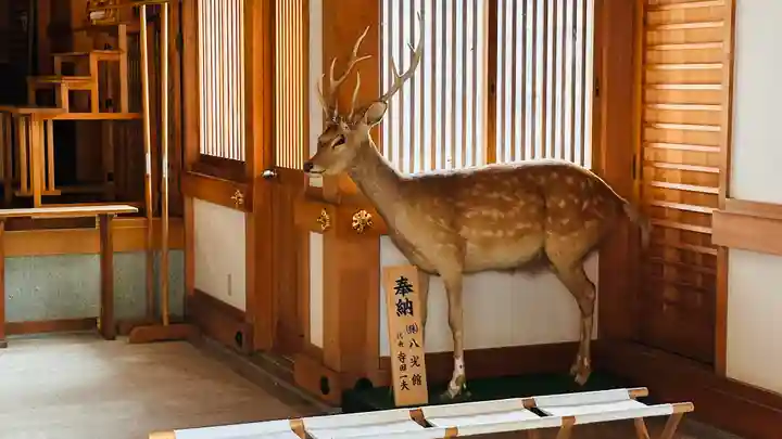 春日神社(京都府)