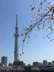 浅草寺の景色