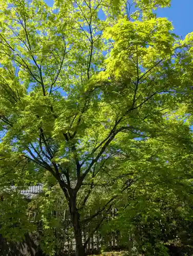 大法院(京都府)