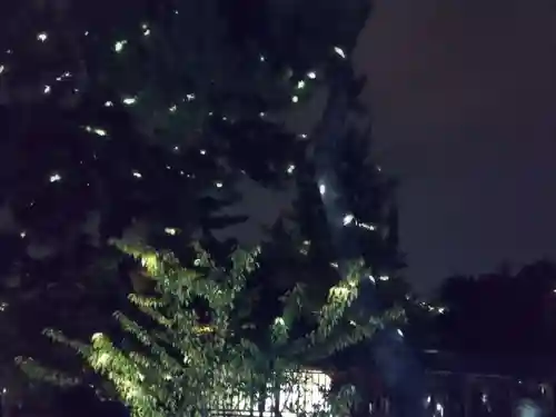 豊国神社(京都府)