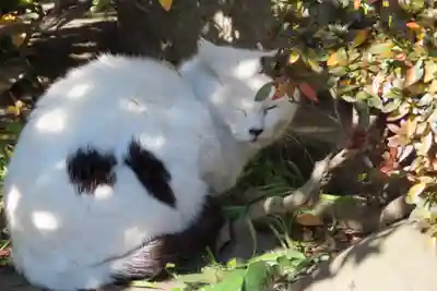 慈眼寺(東京都)