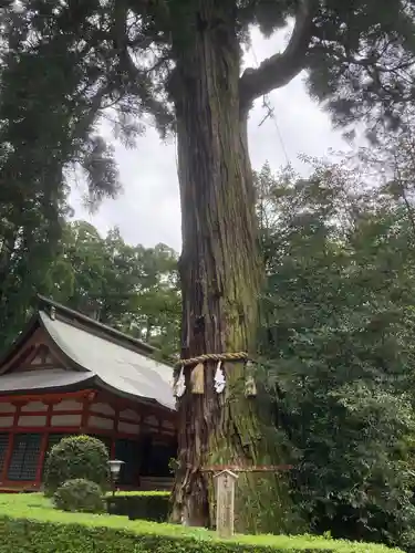 香取神宮の自然